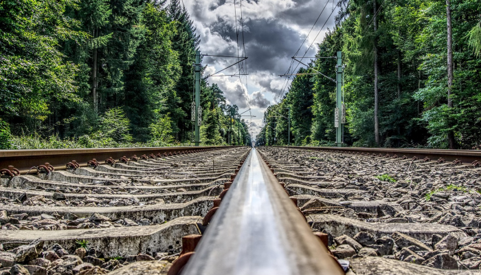 崇明最新疫情轨迹：全面解读与未来展望