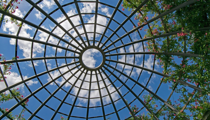 伦敦网上最新疫情：全面解析与未来展望