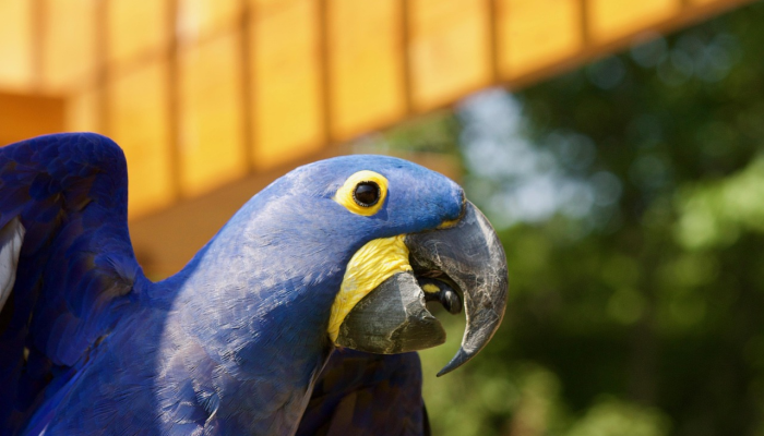 苏州疫情最新五月一号：迈向康复与重生的新篇章
