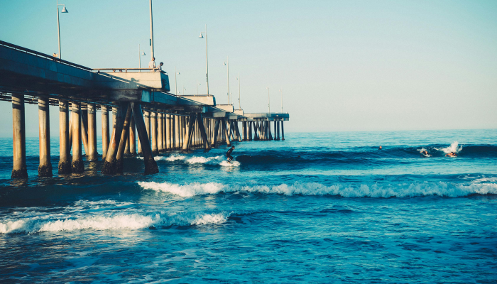 蒲城最新疫情政策电话:您的健康守护者 蒲城最新疫情政策电话:您的健康守护者