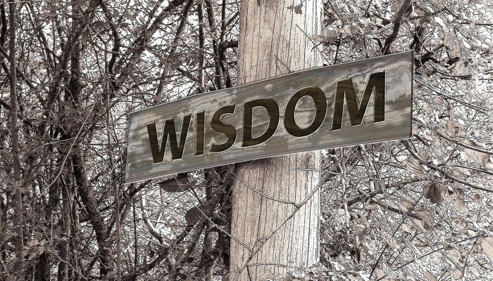 界首疫情最新封路：防疫措施与市民生活影响深度解析