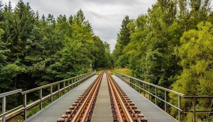 内乡大桥最新疫情：安全与健康的双重守护