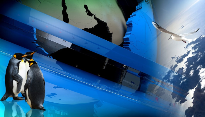 福州闽东疫情最新通报:细致解读与未来展望 福州闽东疫情最新通报:细致解读与未来展望