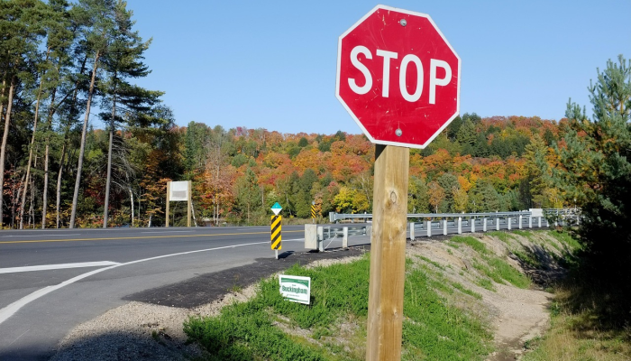 最新漠川疫情：防控之路与社会共建