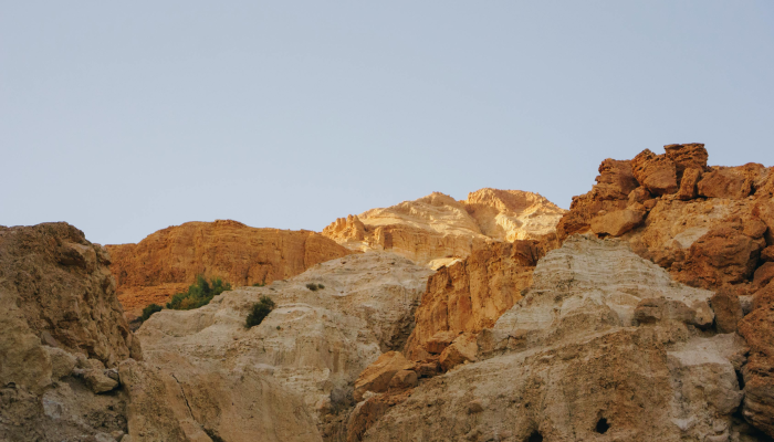 最新襄阳疫情：关注、防护与前行