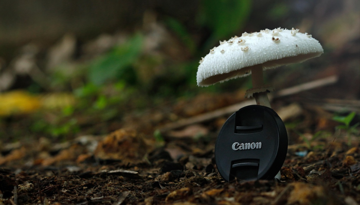 正安最新疫情公布:掌握最新动态,共同应对疫情挑战 正安最新疫情公布:掌握最新动态,共同应对疫情挑战