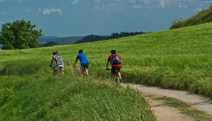 乌鲁木齐景区最新疫情：安全出行，健康旅游的最佳选择