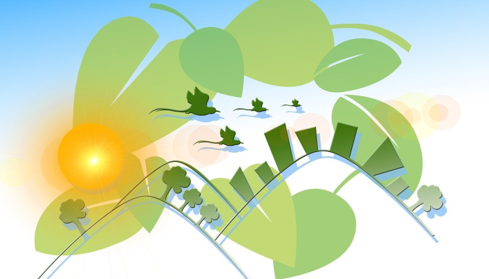 丽水白云最新疫情消息：保护健康，共同守护