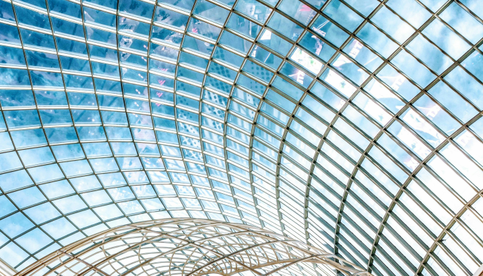 大豆厂疫情最新：全面解析与未来展望